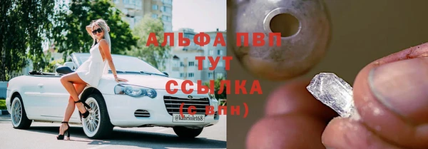 стаф Алексин