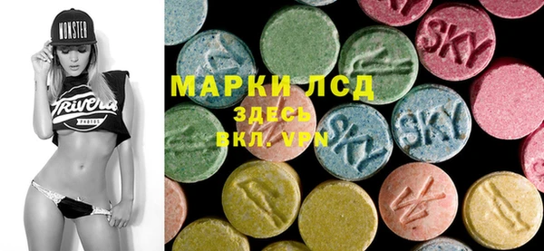 стаф Алексин