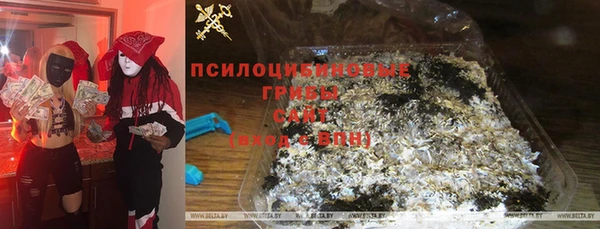 стаф Алексин