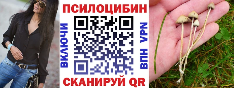 Галлюциногенные грибы мицелий  даркнет сайт  Большой Камень 