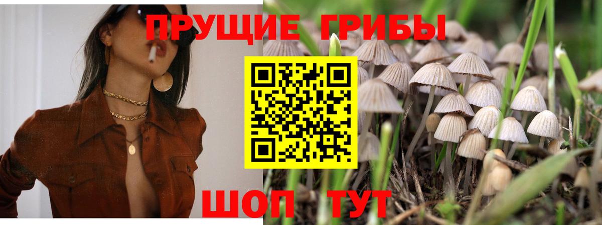 Псилоцибиновые грибы ЛСД Большой Камень