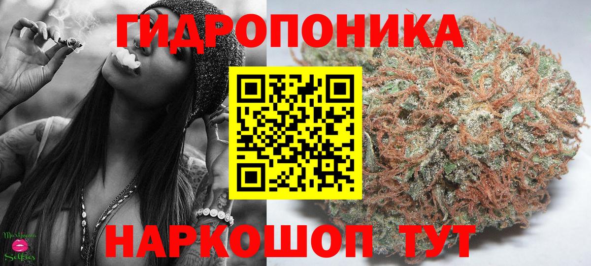 Большой Камень  МАРИХУАНА планчик  Конопля Amnesia  МАРИХУАНА тримм  Канабис планчик  Вход с VPN 